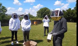 Des ruches au tribunal de Cambrai
