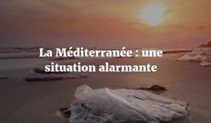 Le rapport alarmant sur la pollution de la mer Méditerranée