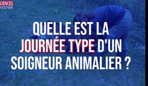 Quelle est la journée type d'un soigneur animalier ?