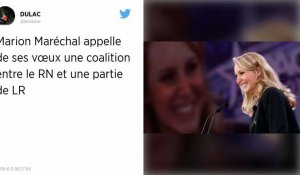 Marion Maréchal souhaite « une grande coalition » entre le RN et « la droite populaire » issue de LR