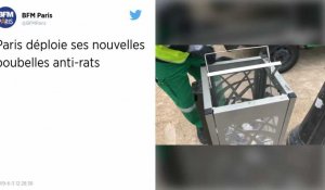 Des poubelles plus résistantes aux rats installées à Paris