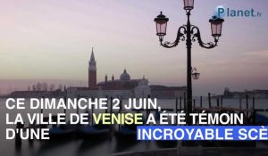 Paquebot hors de contrôle à Venise : que s'est-il passé ?