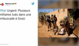 Mali. Au moins 20 morts dans des attaques de deux villages dogons