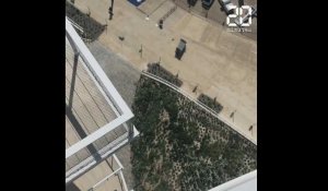 Montpellier: Les secrets des vertigineux balcons de l'Arbre blanc