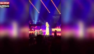 Céline Dion interrompt son concert pour un spectateur parti aux toilettes (Vidéo)