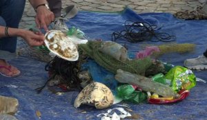 A la pêche au plastique dans l'Adriatique