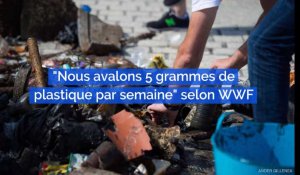 Pollution : Selon la WWF, on ingère environ 5 grammes de plastique par semaine, soit le poids d'une carte bancaire