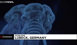 Allemagne : ce cirque a remplacé les animaux sauvages par des hologrammes