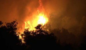 Les pompiers grecs luttent contre un violent incendie sur l'île d'Eubée