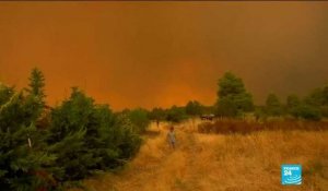 "Catastrophe écologique" sur l'île grecque d'Eubée ravagée par les flammes