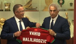 Foot: Vahid Halilhodzic nommé sélectionneur du Maroc