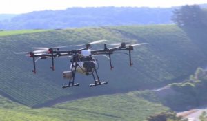 Quand les drones bourdonnent dans les vignes du Luxembourg