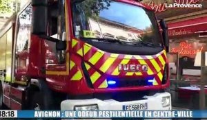 Avignon : une odeur pestilentielle en centre-ville