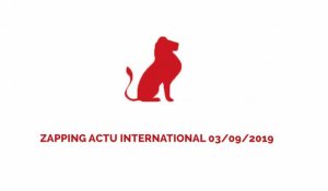  ZAPPING ACTU INTERNATIONAL DU 02/09/2019 - LE JOURNAL DU CAMEROUN 
