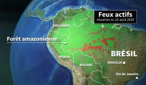 Incendies dans la forêt amazonienne au Brésil