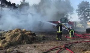 Incendie dans un centre équestre de Witry-lès-Reims