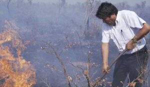 Bolivie: le président Evo Morales combat les incendies dans la réserve de Tucavaca