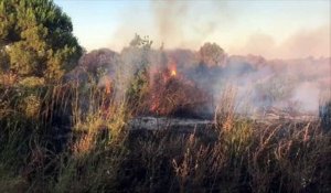 Incendies dans le Gard : nos images du feu de Générac qui a parcouru plus de 150 hectares