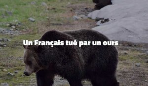 Un Français tué par un ours au Canada