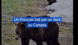 Un touriste français tué par un ours alors qu'il campait au Canada