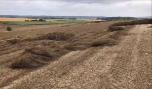 Le vent a laissé des séquelles dans les champs de lin dans le secteur d'Houlle
