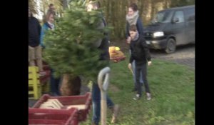 Les Rues-des-Vignes : la ferme du Bio Quesnet replante les sapins de Noël