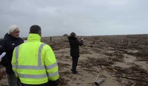 Tempête Gloria dans l'Aude : la plage des Cabanes de Fleury submergée par les embâcles et détritus