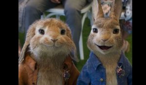 Peter Rabbit 2: The Runaway: Trailer HD VF