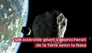 Un astéroïde géant passera près de la Terre le 29 avril