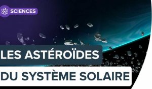 Tous les astéroïdes connus dans notre Système solaire | Futura