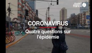 Coronavirus : quatre questions sur l'épidémie