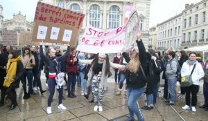 Les professionnels de la petite enfance manifestent pour défendre les conditions d'accueil.