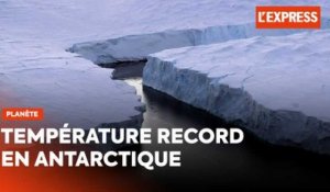 Antarctique : plus de 20 degrés enregistrés, une température record