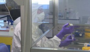 Coronavirus: un labo lyonnais sur le pont pour trouver un traitement
