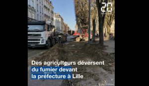 Lille: Des tonnes de fumier déversées devant la Préfecture