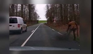 Nouvel incident en forêt de Compiègne pendant une chasse à courre au sanglier