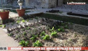 Avignon : Les jardins du Palais des Papes inaugurés hier