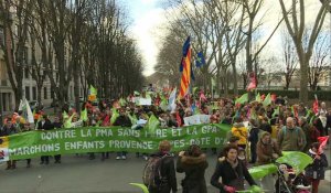 Les opposants à la PMA dans la rue à Paris