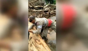 Pluies diluviennes au Brésil: des pompiers sur place pour aider les locaux
