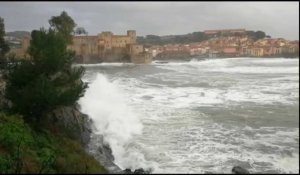 Tempête Gloria: mer agitée à Collioure