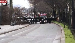 Un automobiliste meurt écrasé par un arbre devant le musée du Quai Branly (vidéo)