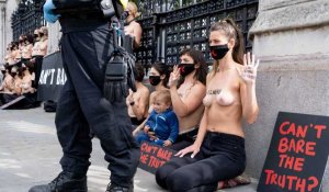 La nudité comme arme politique des femmes