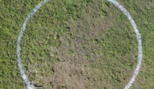 Des cercles de distanciation sociale dans le Citadel Park à Gand