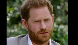 Le prince Harry rattrapé par ses mensonges : ces millions d’euros qu’il n’a pas déclaré !