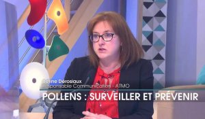 Pollens : surveiller et prévenir