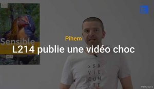 Pihem : l’association L214 publie une vidéo de l’exploitation qui souhaite s’agrandir