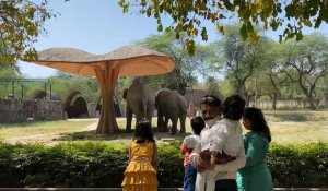 Inde: le zoo de Delhi rouvre après un an de fermeture