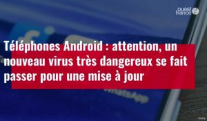 VIDÉO. Téléphones Android : un nouveau virus très dangereux se fait passer pour une mise à jour