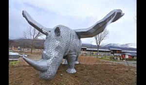 Ur (66) - L'histoire du rhinocéros ailé/part. 2 