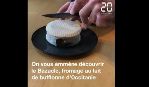 Le Bazacle, un «singlé» de fromage made in Toulouse